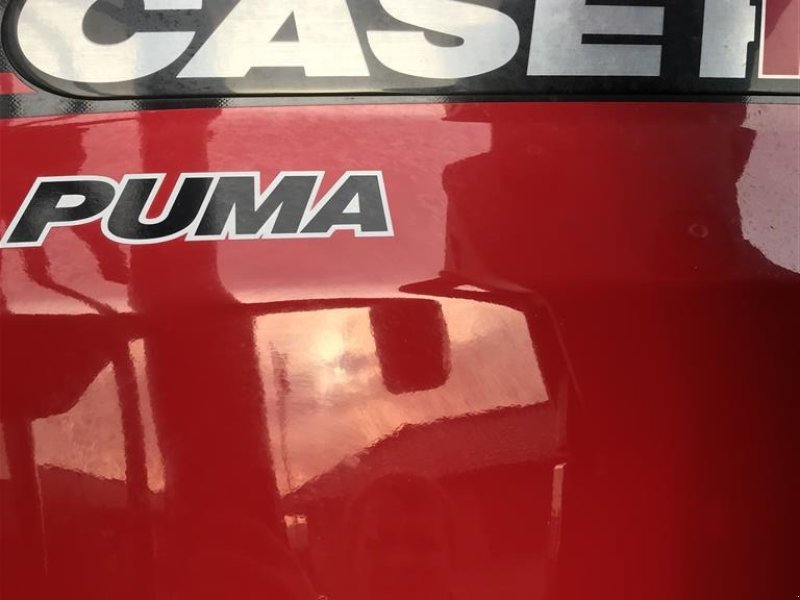 Traktor типа Case IH Puma 150 ÅLÖ Q6 frontlæsser, Gebrauchtmaschine в Bælum