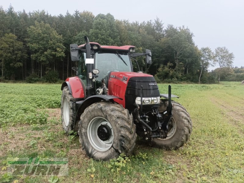 Traktor a típus Case IH Puma 165 CVX, Gebrauchtmaschine ekkor: Merklingen