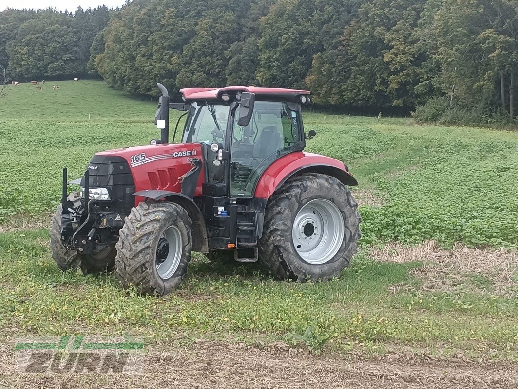 Traktor of the type Case IH Puma 165 CVX, Gebrauchtmaschine in Merklingen (Picture 2)