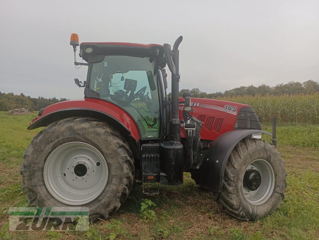 Traktor del tipo Case IH Puma 165 CVX, Gebrauchtmaschine In Merklingen (Immagine 5)