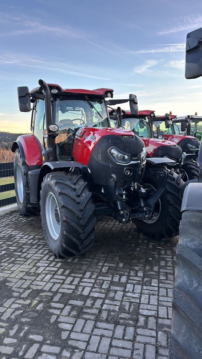 Traktor типа Case IH Puma 165 CVXDrive (Stage V), Gebrauchtmaschine в Traberg (Фотография 1)