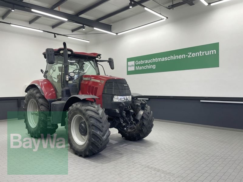 Traktor des Typs Case IH PUMA 175 CVX, Gebrauchtmaschine in Manching (Bild 1)