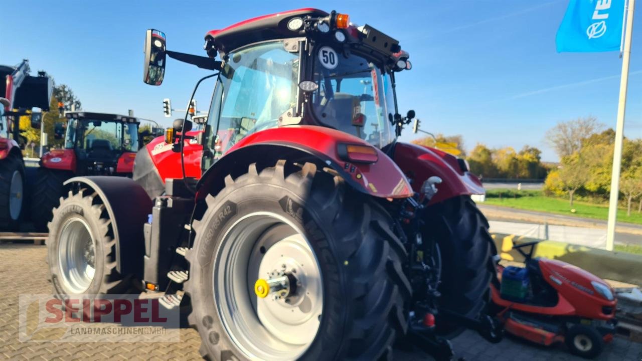 Traktor du type Case IH PUMA 175 CVX, Neumaschine en Groß-Umstadt (Photo 2)