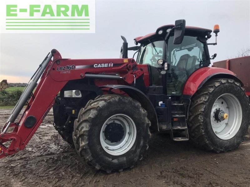 Traktor Türe ait Case IH puma 185 cvx med læsser står på sjælland CVX, Gebrauchtmaschine içinde AALBORG SV (resim 1)