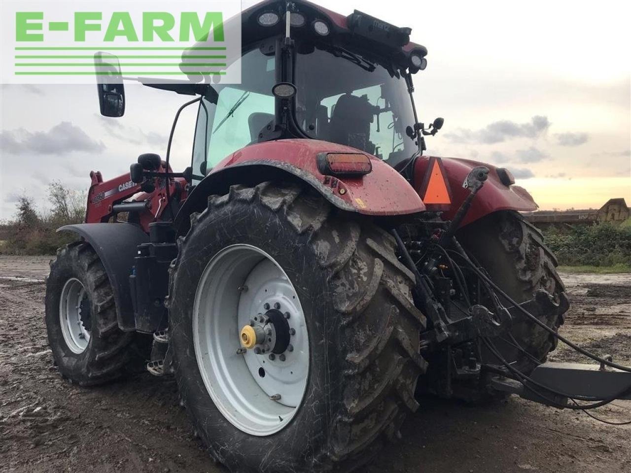 Traktor a típus Case IH puma 185 cvx med læsser står på sjælland CVX, Gebrauchtmaschine ekkor: AALBORG SV (Kép 2)