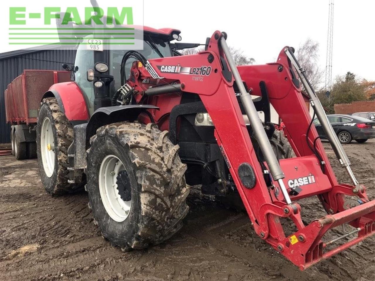 Traktor van het type Case IH puma 185 cvx med læsser står på sjælland CVX, Gebrauchtmaschine in AALBORG SV (Foto 3)