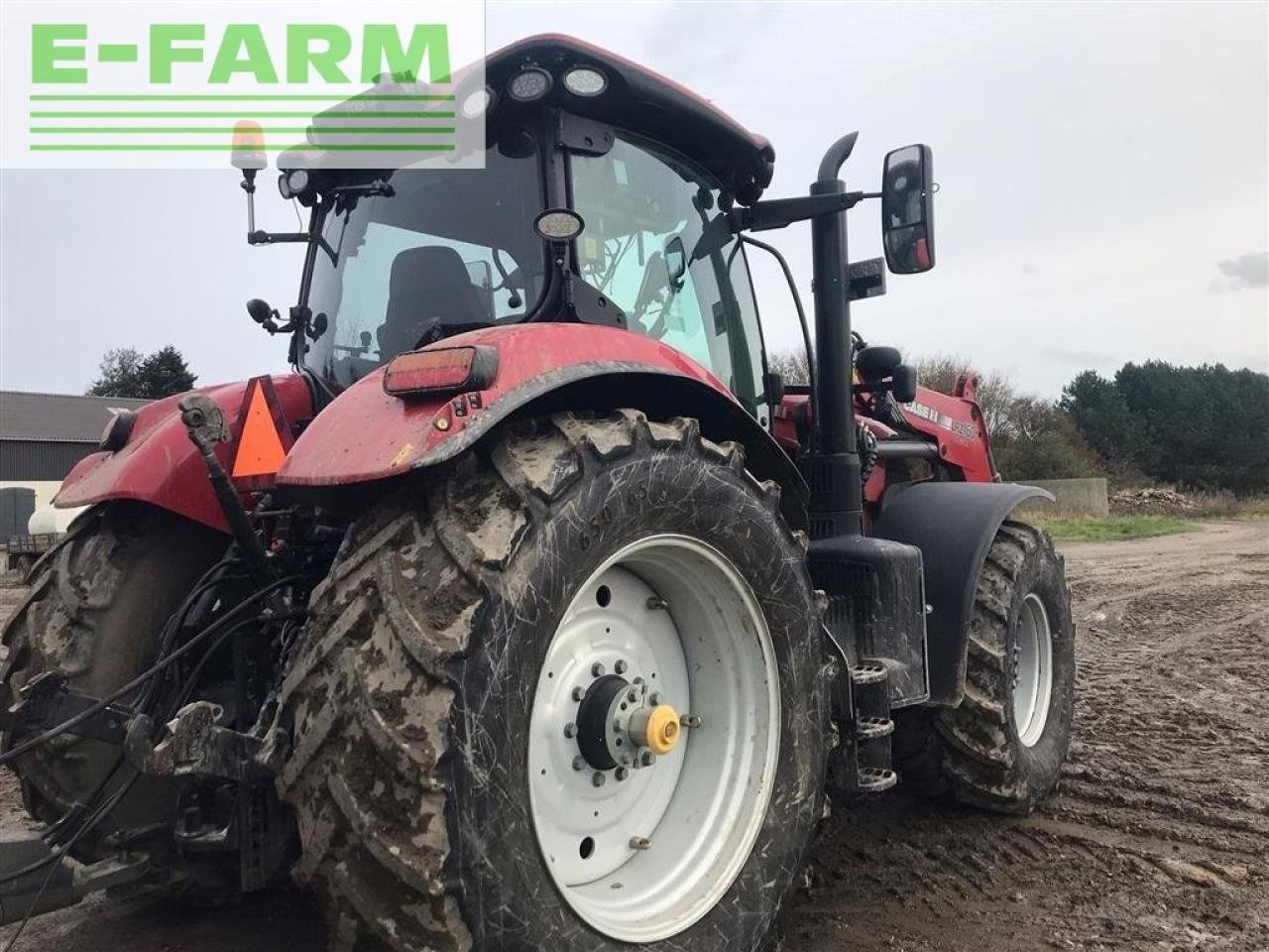 Traktor of the type Case IH puma 185 cvx med læsser står på sjælland CVX, Gebrauchtmaschine in AALBORG SV (Picture 5)