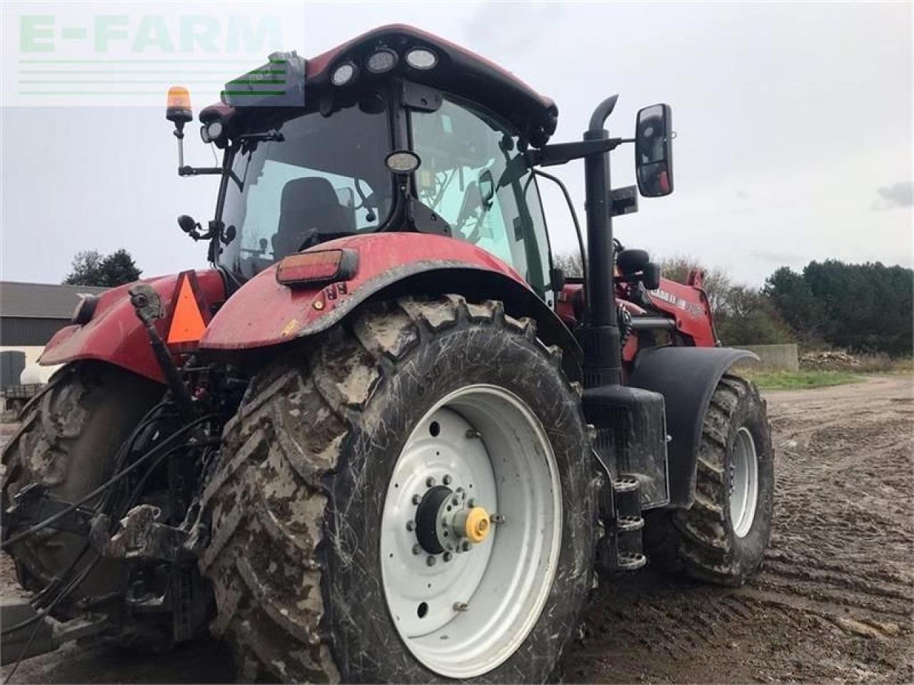 Traktor tip Case IH puma 185 cvx med læsser står på sjælland CVX, Gebrauchtmaschine in AALBORG SV (Poză 5)