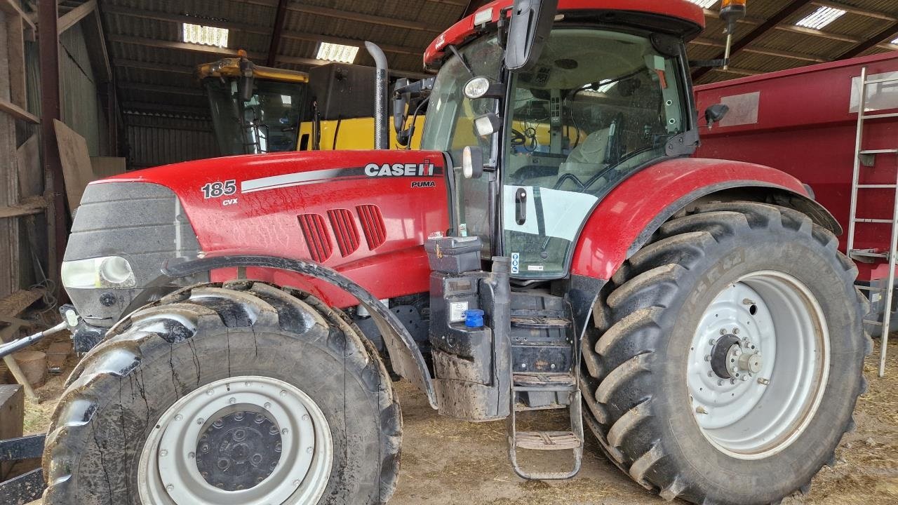 Traktor Türe ait Case IH PUMA 185 CVX, Gebrauchtmaschine içinde Viborg (resim 1)