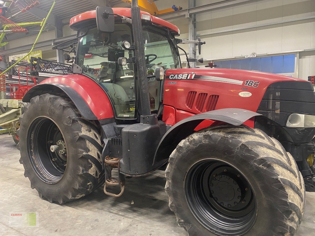 Traktor typu Case IH Puma 185 CVX, Gebrauchtmaschine w Weddingstedt (Zdjęcie 4)