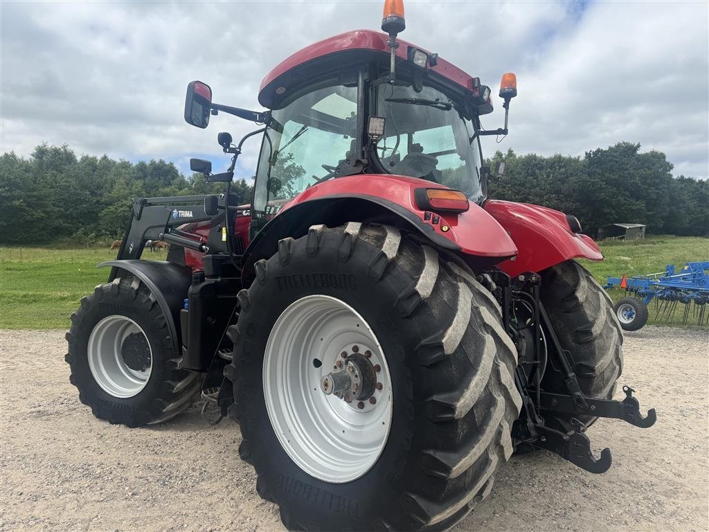 Traktor del tipo Case IH Puma 200 CVX Trima 6.1 frontlæsser, Gebrauchtmaschine en Mariager (Imagen 3)