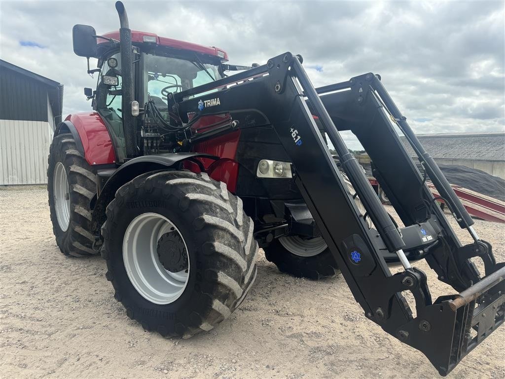 Traktor typu Case IH Puma 200 CVX Trima 6.1 frontlæsser, Gebrauchtmaschine v Mariager (Obrázek 7)