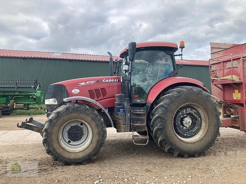 Traktor des Typs Case IH Puma 200 CVX, Gebrauchtmaschine in Salsitz (Bild 1)