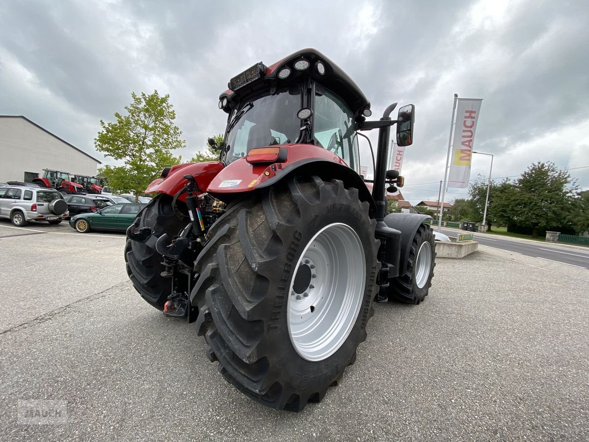 Traktor del tipo Case IH Puma 200 CVXDrive (Stage V), Gebrauchtmaschine en Burgkirchen (Imagen 8)