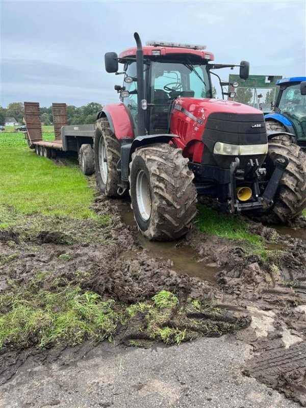 Traktor типа Case IH Puma 230Cvx GPS forberedt. Front pto, Gebrauchtmaschine в Rødekro (Фотография 1)