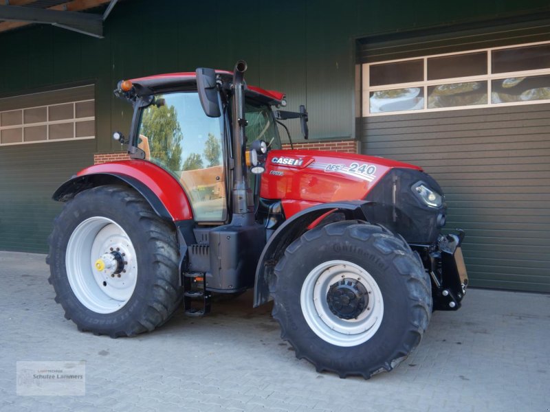 Traktor of the type Case IH Puma 240 CVX AFS Stage V, Gebrauchtmaschine in Borken (Picture 1)