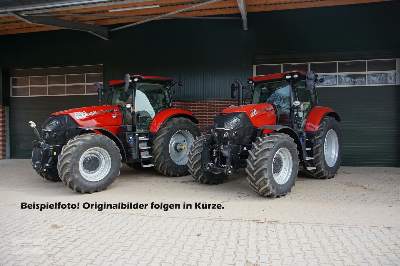 Traktor του τύπου Case IH Puma 240 CVX Stage V, Gebrauchtmaschine σε Borken (Φωτογραφία 1)