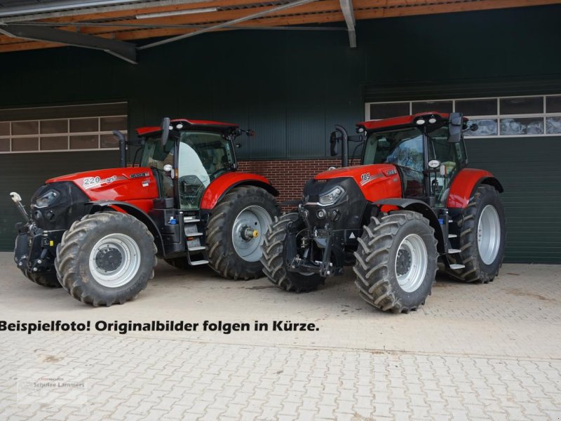 Traktor του τύπου Case IH Puma 240 CVX Stage V, Gebrauchtmaschine σε Borken