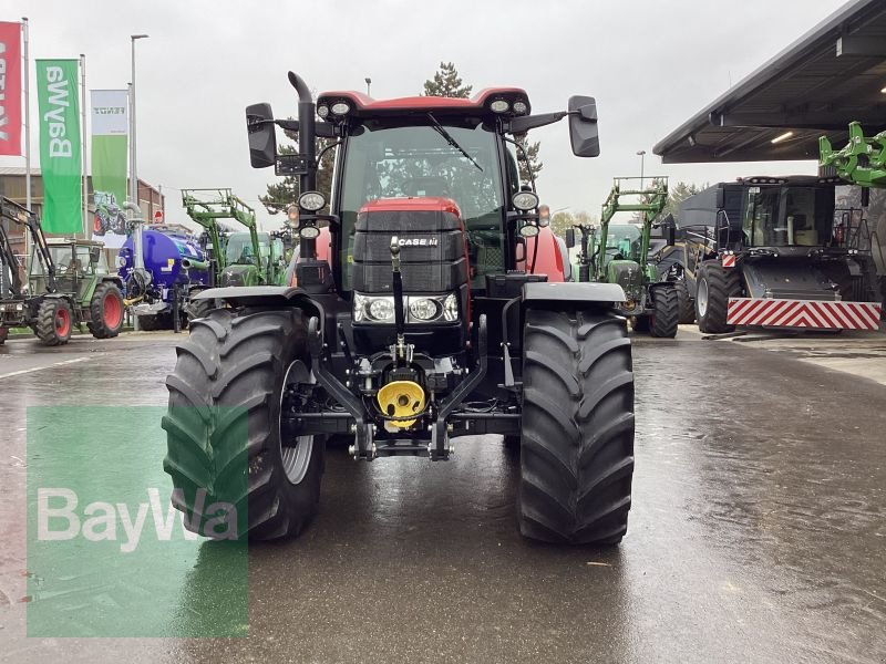 Traktor van het type Case IH PUMA CVX 175, Gebrauchtmaschine in Nuertingen (Foto 3)