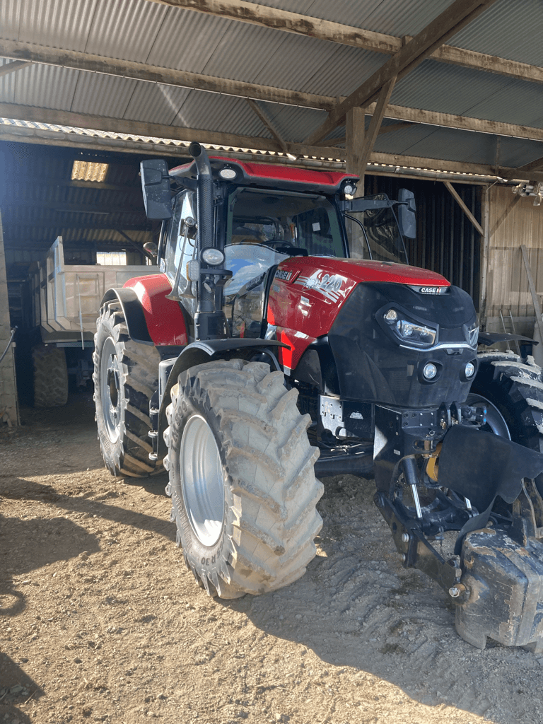 Traktor van het type Case IH PUMA CVX 220, Gebrauchtmaschine in ISIGNY-LE-BUAT (Foto 1)