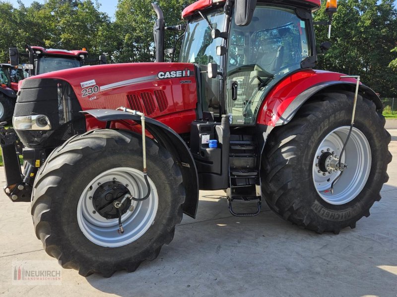 Traktor des Typs Case IH Puma CVX 230 EP Basis, Gebrauchtmaschine in Delbrück-Westenholz