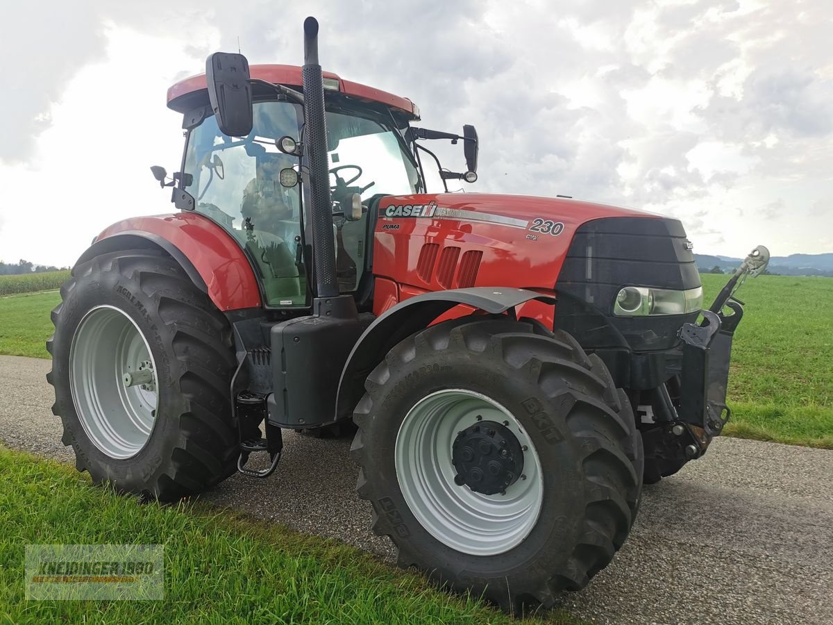 Traktor от тип Case IH Puma CVX 230, Gebrauchtmaschine в Altenfelden (Снимка 16)