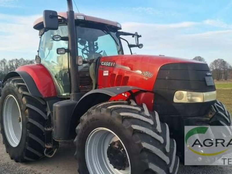 Traktor typu Case IH PUMA CVX 230, Gebrauchtmaschine v Calbe / Saale