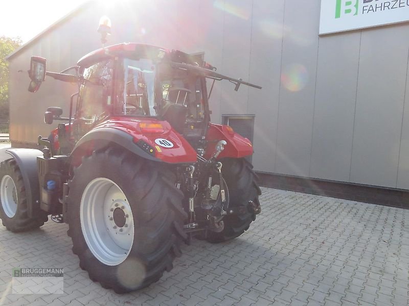 Traktor des Typs Case Luxxum 120 , ERST 476 Stunden, Gebrauchtmaschine in Meppen (Bild 3)