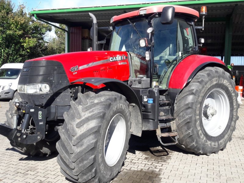 Traktor Türe ait Case Puma 185 CVX, Gebrauchtmaschine içinde Aislingen (resim 1)