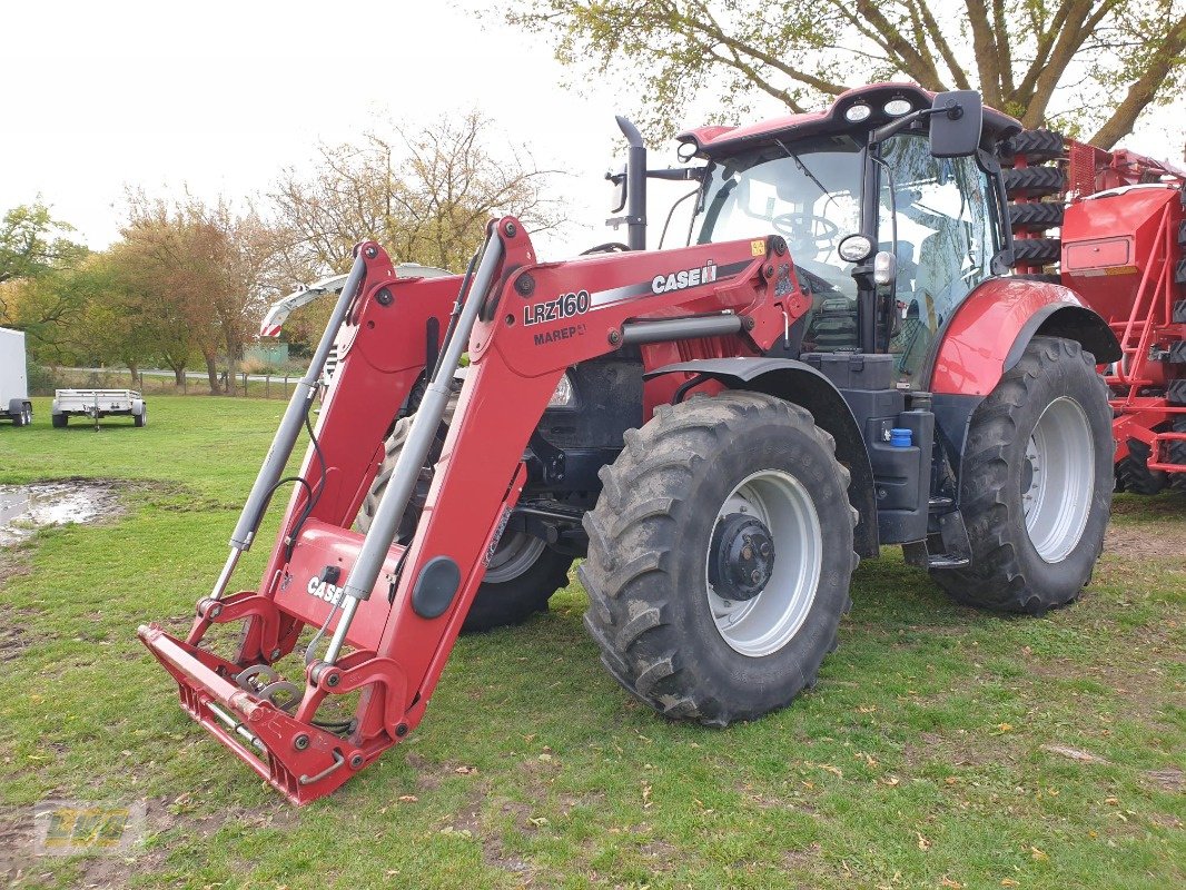 Traktor Türe ait Case Puma CVX 175, Gebrauchtmaschine içinde Schenkenberg (resim 1)