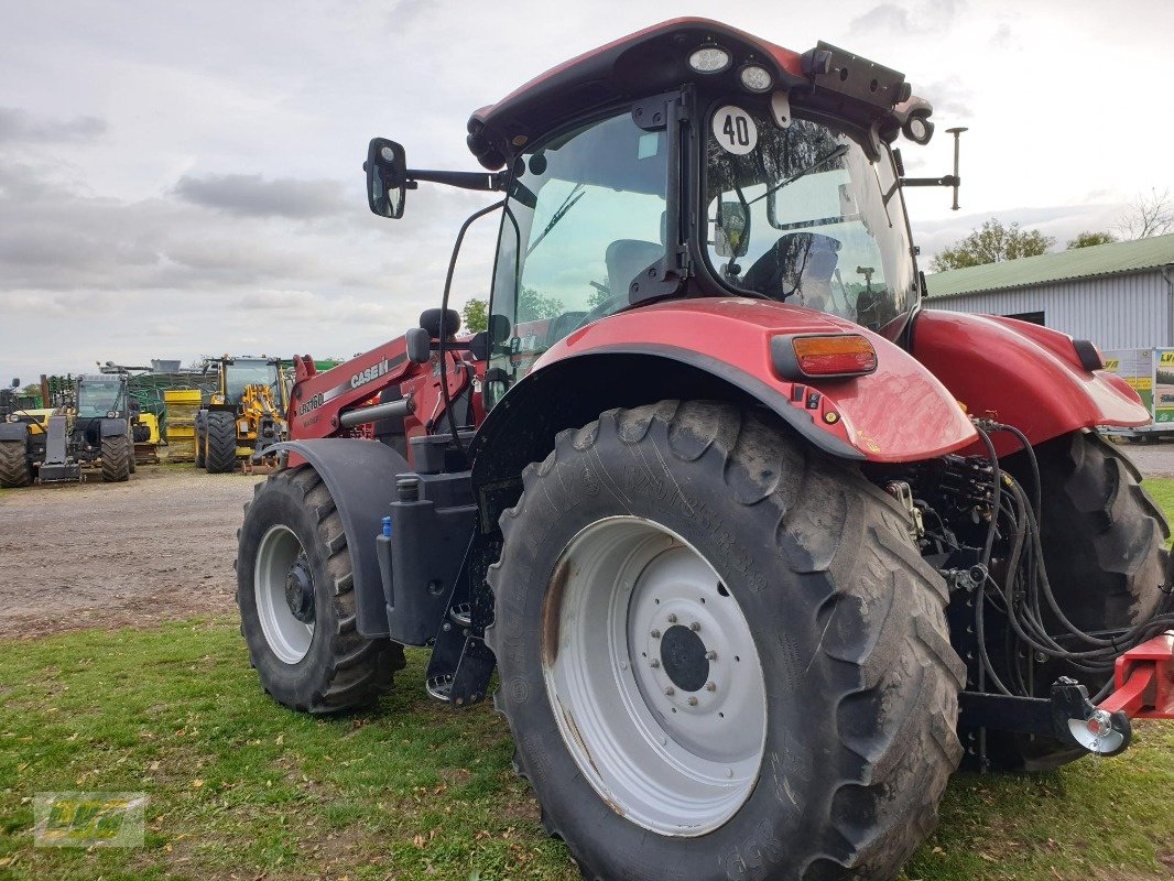 Traktor of the type Case Puma CVX 175, Gebrauchtmaschine in Schenkenberg (Picture 8)