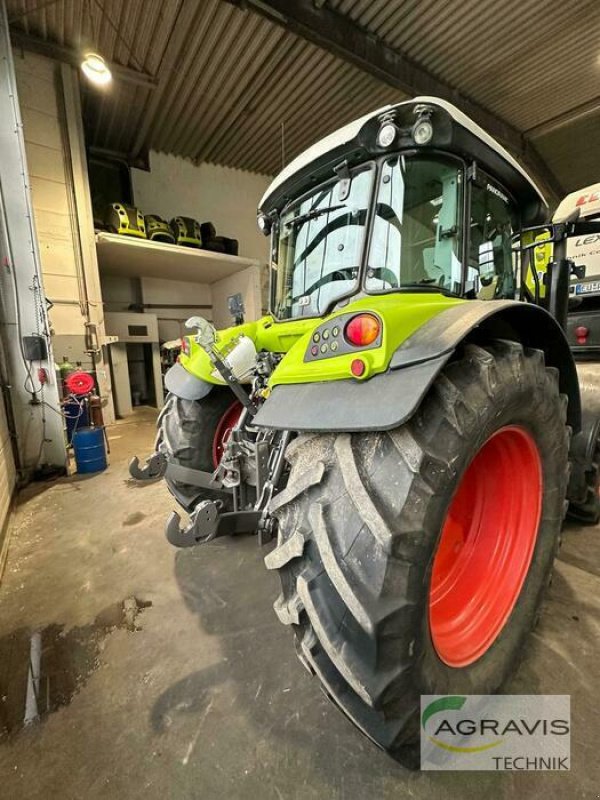 Traktor van het type CLAAS ARION 440 CIS TIER 4F, Gebrauchtmaschine in Rheinbach (Foto 3)