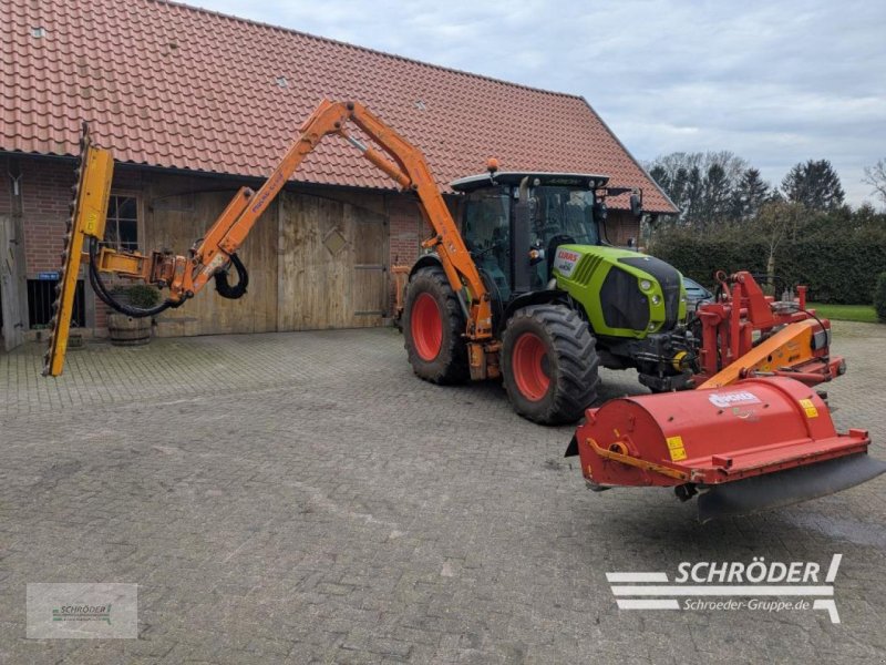 Traktor des Typs CLAAS ARION 530 CIS, Gebrauchtmaschine in Lastrup (Bild 1)