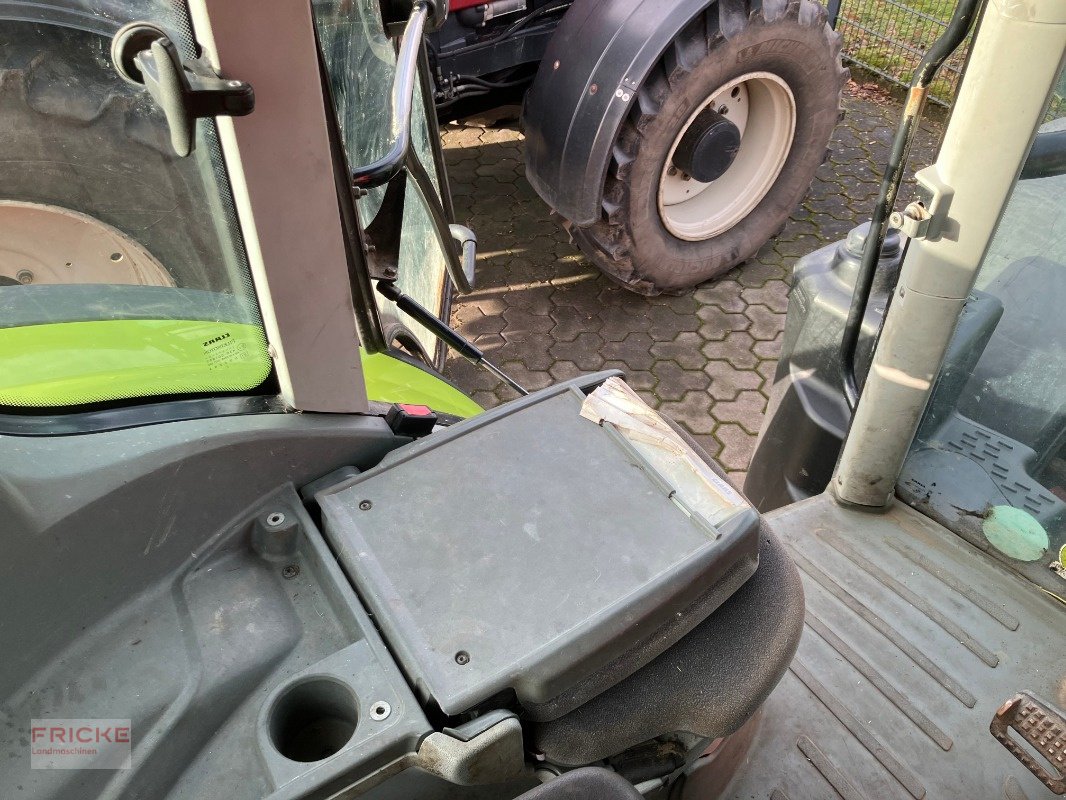 Traktor del tipo CLAAS Arion 550 CIS Hexashift, Gebrauchtmaschine en Bockel - Gyhum (Imagen 12)