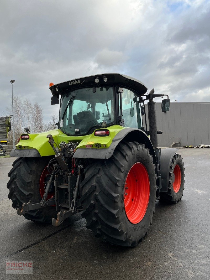 Traktor Türe ait CLAAS Arion 550 Cmatic  Cebis, Gebrauchtmaschine içinde Bockel - Gyhum (resim 4)