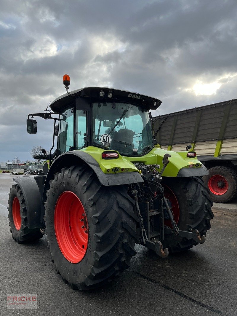 Traktor des Typs CLAAS Arion 550 Cmatic  Cebis, Gebrauchtmaschine in Bockel - Gyhum (Bild 5)