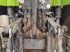 Traktor tipa CLAAS ARION 630, Gebrauchtmaschine u Belleville sur Meuse (Slika 9)