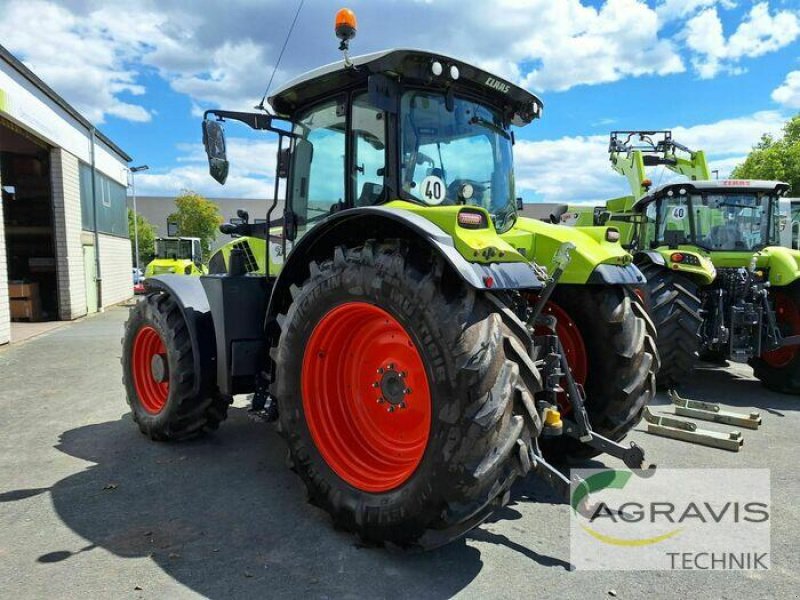 Traktor des Typs CLAAS ARION 650 CEBIS TIER 4I, Gebrauchtmaschine in Warburg (Bild 5)