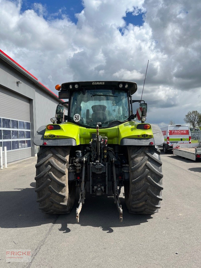 Traktor del tipo CLAAS Arion 650 CIS, Gebrauchtmaschine en Bockel - Gyhum (Imagen 7)