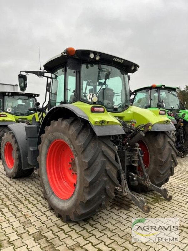 Traktor du type CLAAS ARION 650 CMATIC CEBIS, Gebrauchtmaschine en Wittingen (Photo 4)