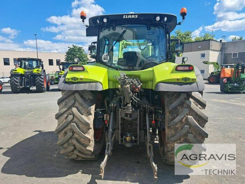 Traktor του τύπου CLAAS ARION 650 CMATIC TIER 4I, Gebrauchtmaschine σε Warburg (Φωτογραφία 5)