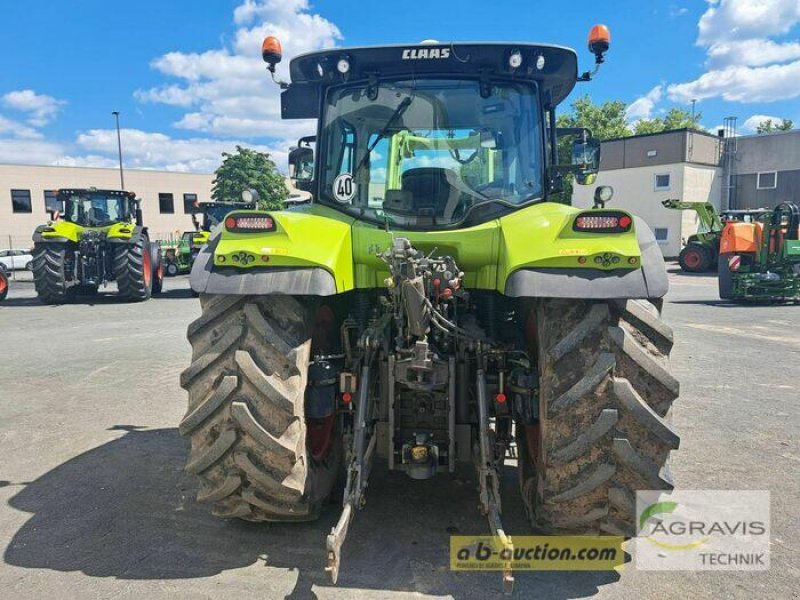 Traktor typu CLAAS ARION 650 CMATIC TIER 4I, Gebrauchtmaschine w Melle-Wellingholzhausen (Zdjęcie 5)