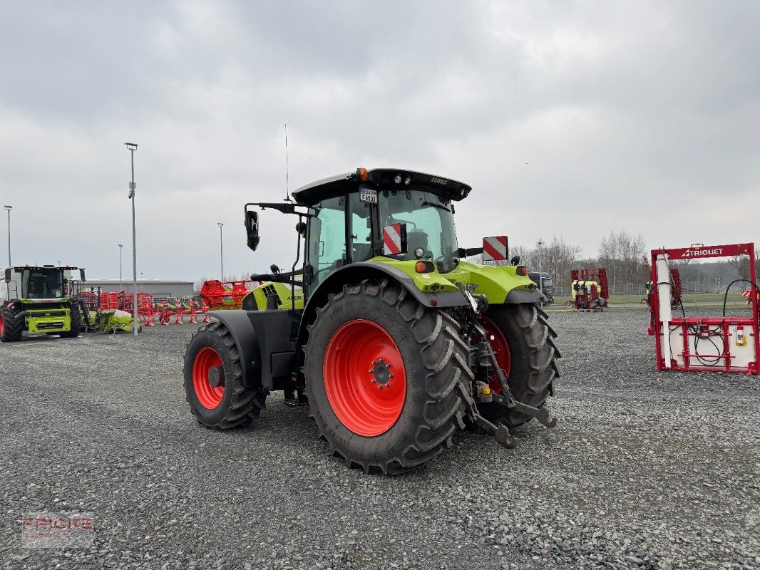 Traktor типа CLAAS Arion 650 Hexashift CIS, Gebrauchtmaschine в Bockel - Gyhum (Фотография 9)