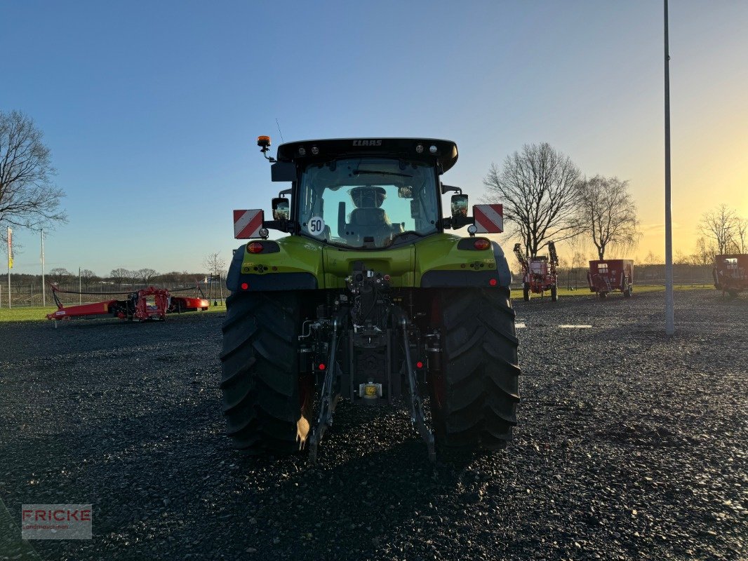 Traktor van het type CLAAS Arion 650 HEXASHIFT CIS, Gebrauchtmaschine in Harsefeld (Foto 7)