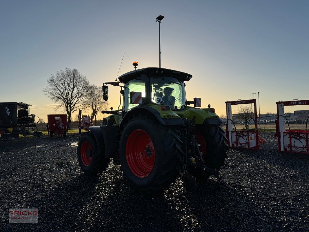 Traktor van het type CLAAS Arion 650 HEXASHIFT CIS, Gebrauchtmaschine in Harsefeld (Foto 8)