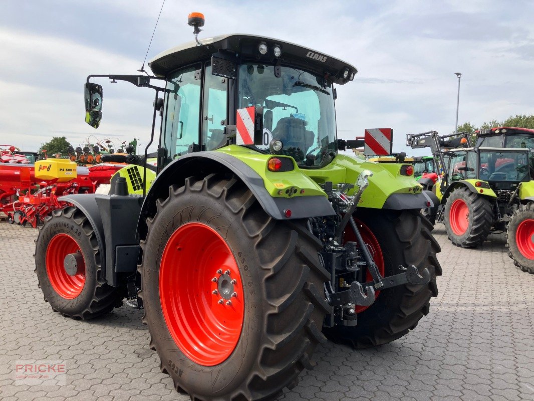 Traktor του τύπου CLAAS Arion 650 Hexashift CIS, Gebrauchtmaschine σε Bockel - Gyhum (Φωτογραφία 4)