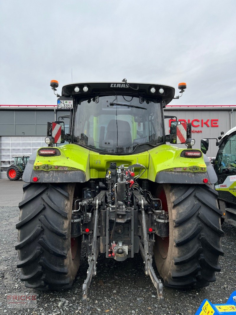 Traktor του τύπου CLAAS ARION 660 CMATIC CEBIS, Gebrauchtmaschine σε Bockel - Gyhum (Φωτογραφία 7)