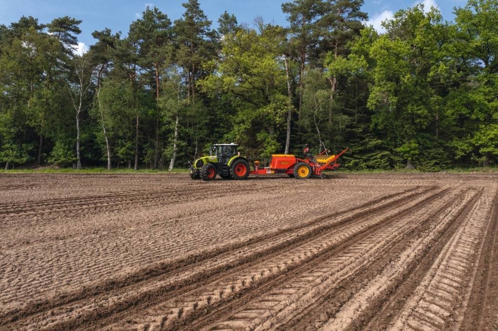 Traktor Türe ait CLAAS Arion 660 CMATIC, Gebrauchtmaschine içinde Hinnerup (resim 3)