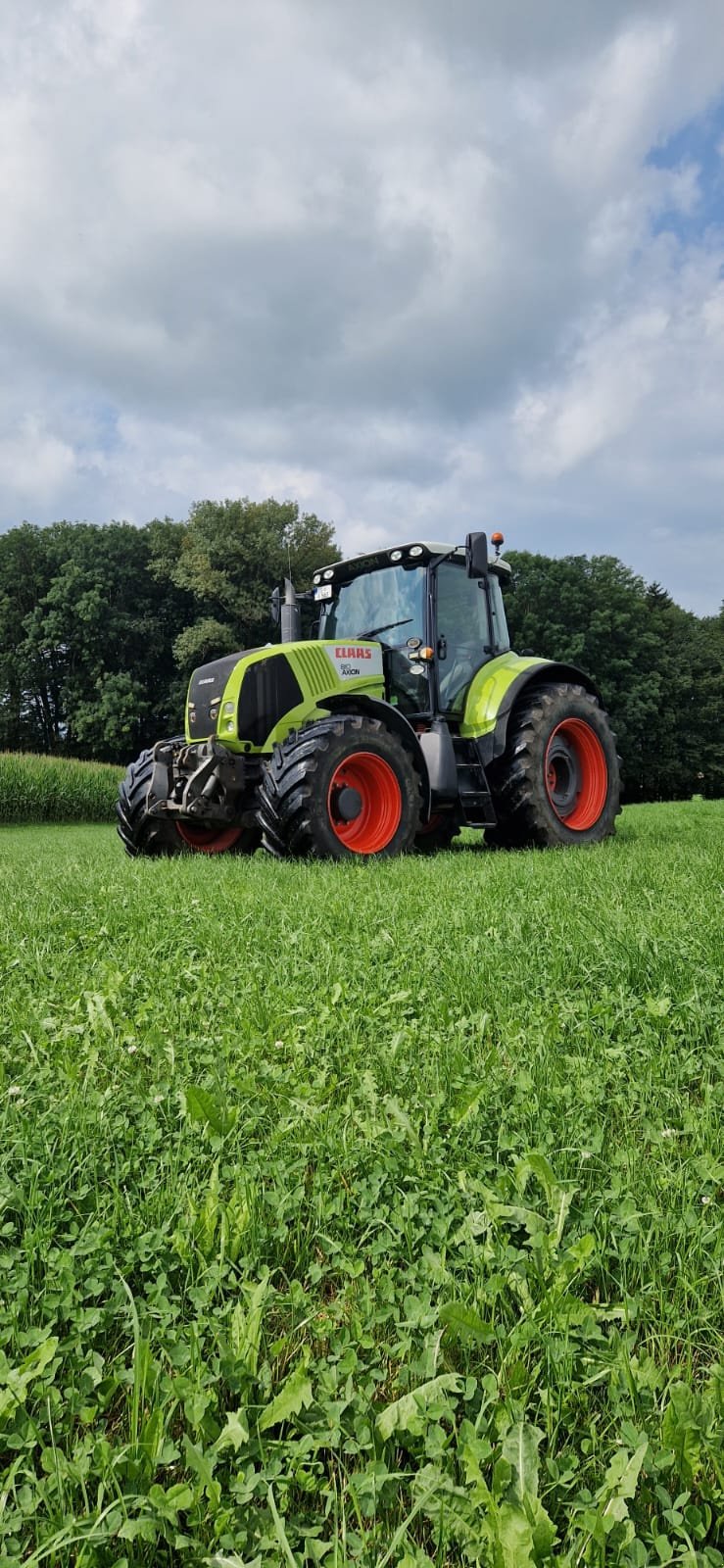 Traktor van het type CLAAS Axion 810 C-MATIC, Gebrauchtmaschine in Obing (Foto 4)