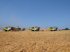 Traktor tipa CLAAS Axion 830 Cmatic, Gebrauchtmaschine u Hinnerup (Slika 4)